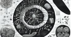 biologie
